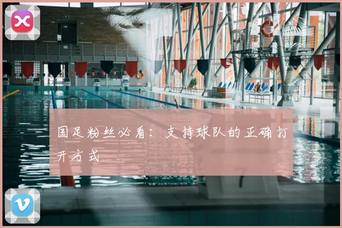 国足粉丝必看：支持球队的正确打开方式