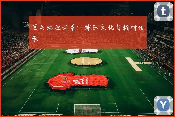 国足粉丝必看：球队文化与精神传承