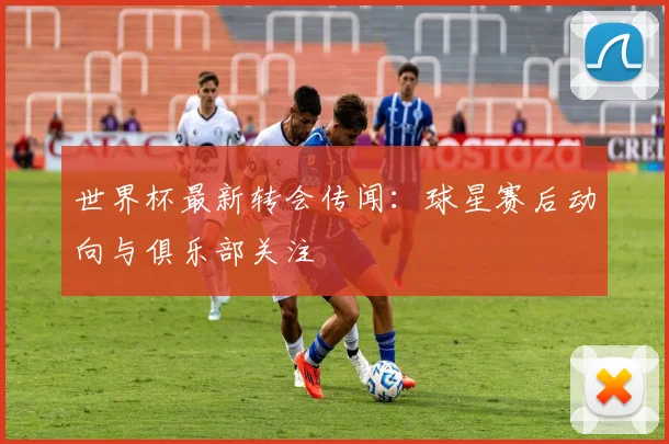 世界杯最新转会传闻：球星赛后动向与俱乐部关注