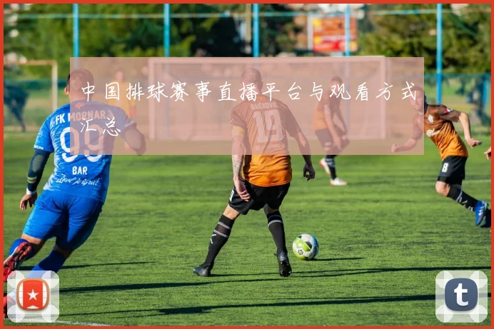 中国排球赛事直播平台与观看方式汇总
