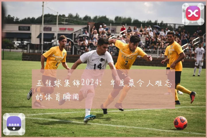 五佳球集锦2024：年度最令人难忘的体育瞬间