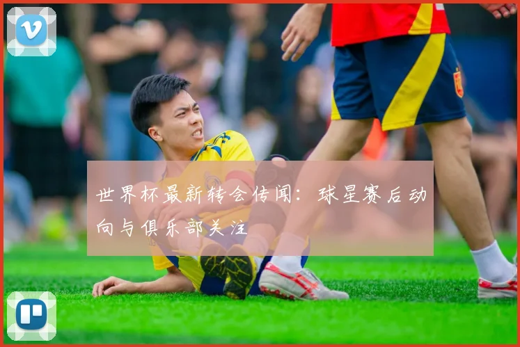 世界杯最新转会传闻：球星赛后动向与俱乐部关注