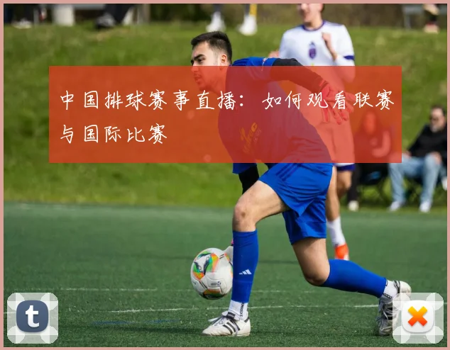中国排球赛事直播：如何观看联赛与国际比赛