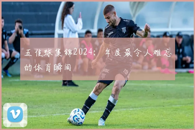 五佳球集锦2024：年度最令人难忘的体育瞬间